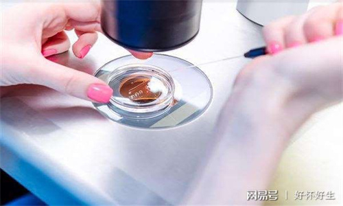 香港輔助生殖辦理_1