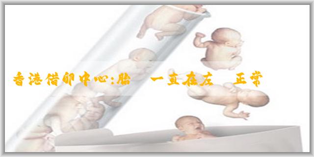 香港借卵中心:胎動一直在左邊正常嗎?